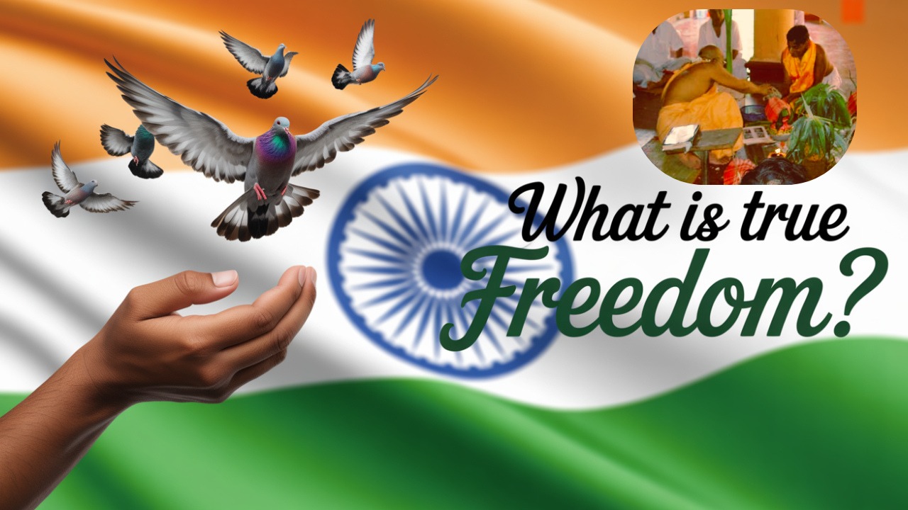 𝐈𝐬 𝐢𝐭 𝐅𝐫𝐞𝐞𝐝𝐨𝐦 𝘧𝘳𝘰𝘮 𝐭𝐡𝐞 𝐒𝐞𝐧𝐬𝐞𝐬 𝐨𝐫 𝐅𝐫𝐞𝐞𝐝𝐨𝐦 𝘧𝘰𝘳 𝐭𝐡𝐞 𝐒𝐞𝐧𝐬𝐞𝐬?